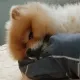 뚜두리아빠