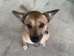 Lollipopkid