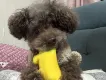 Vizky