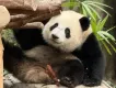 向下一目的地進發go go go✈️