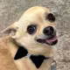 ひろたまる
