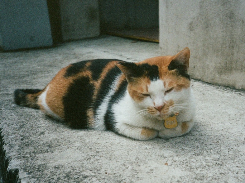 namfangnamfang