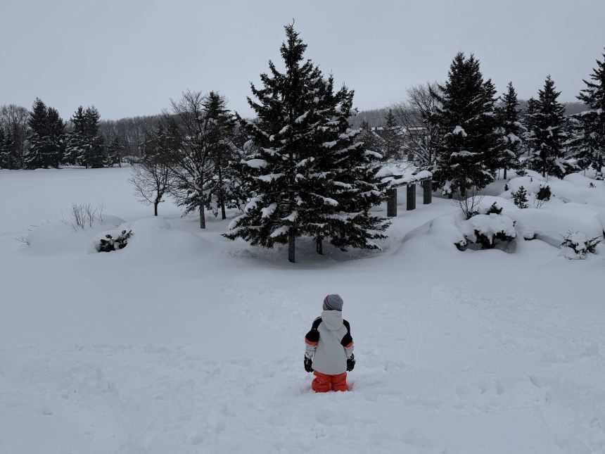 ponneige