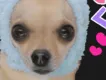 ひろたまる