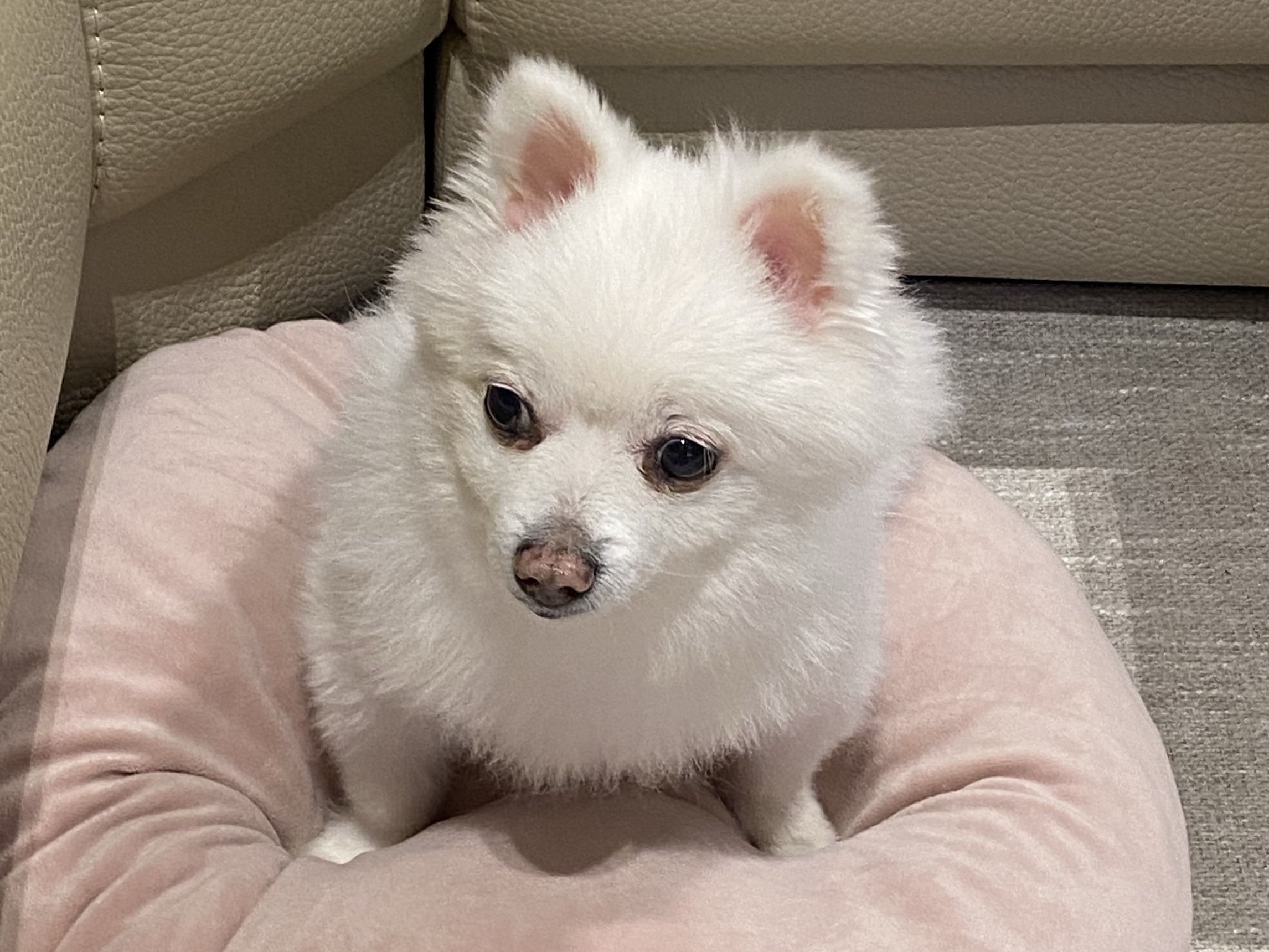 킹주형