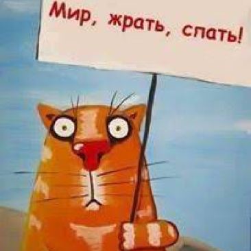 _TIRU******y99e1j