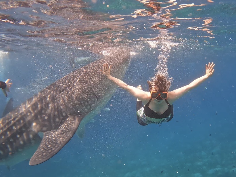 ゆうかの旅記録