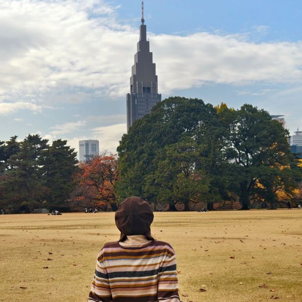 К Японии готов