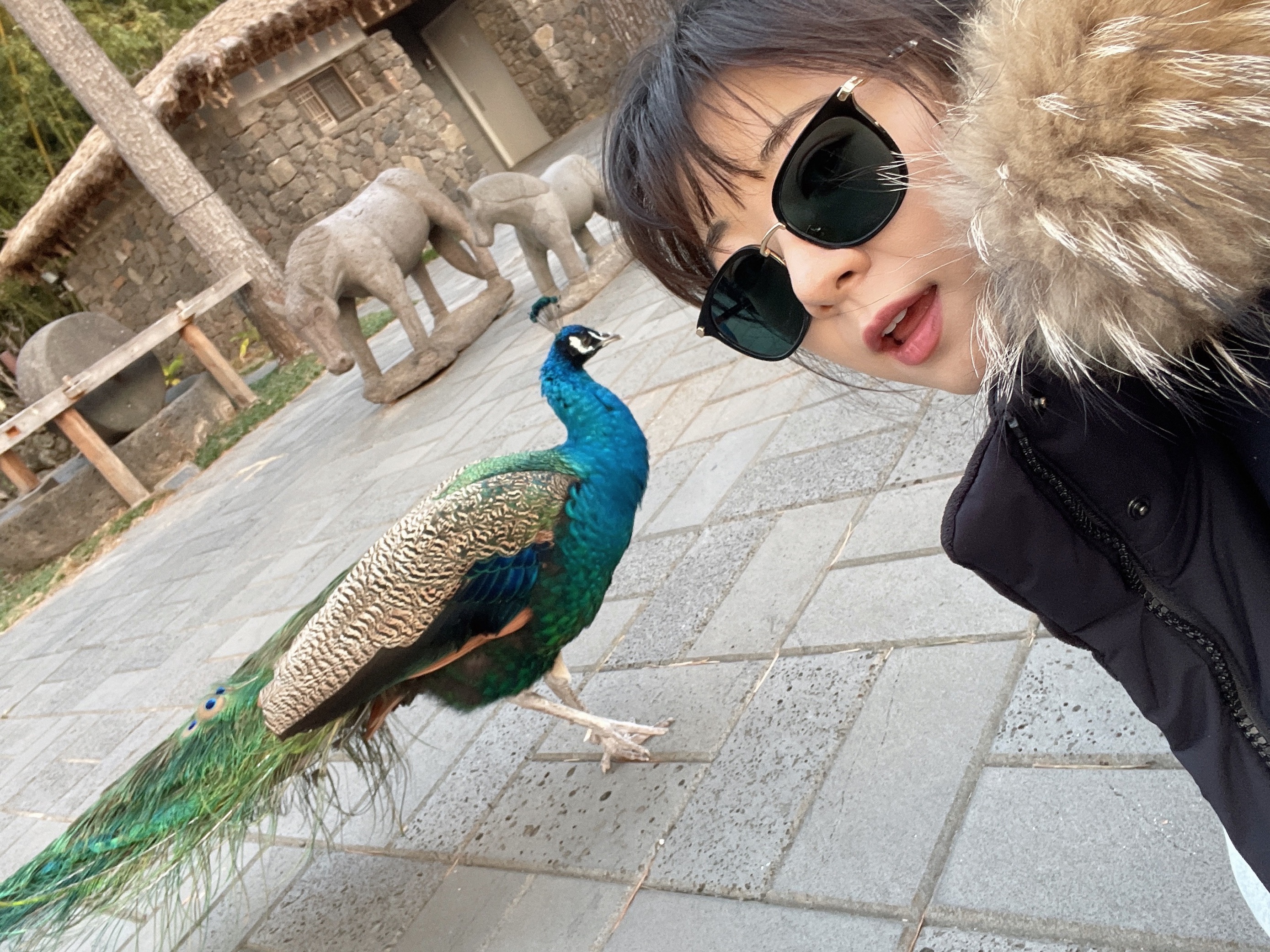 뿌잉뿌잉 여행은 즐겁당