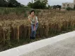 愛旺租車