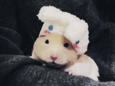 头像