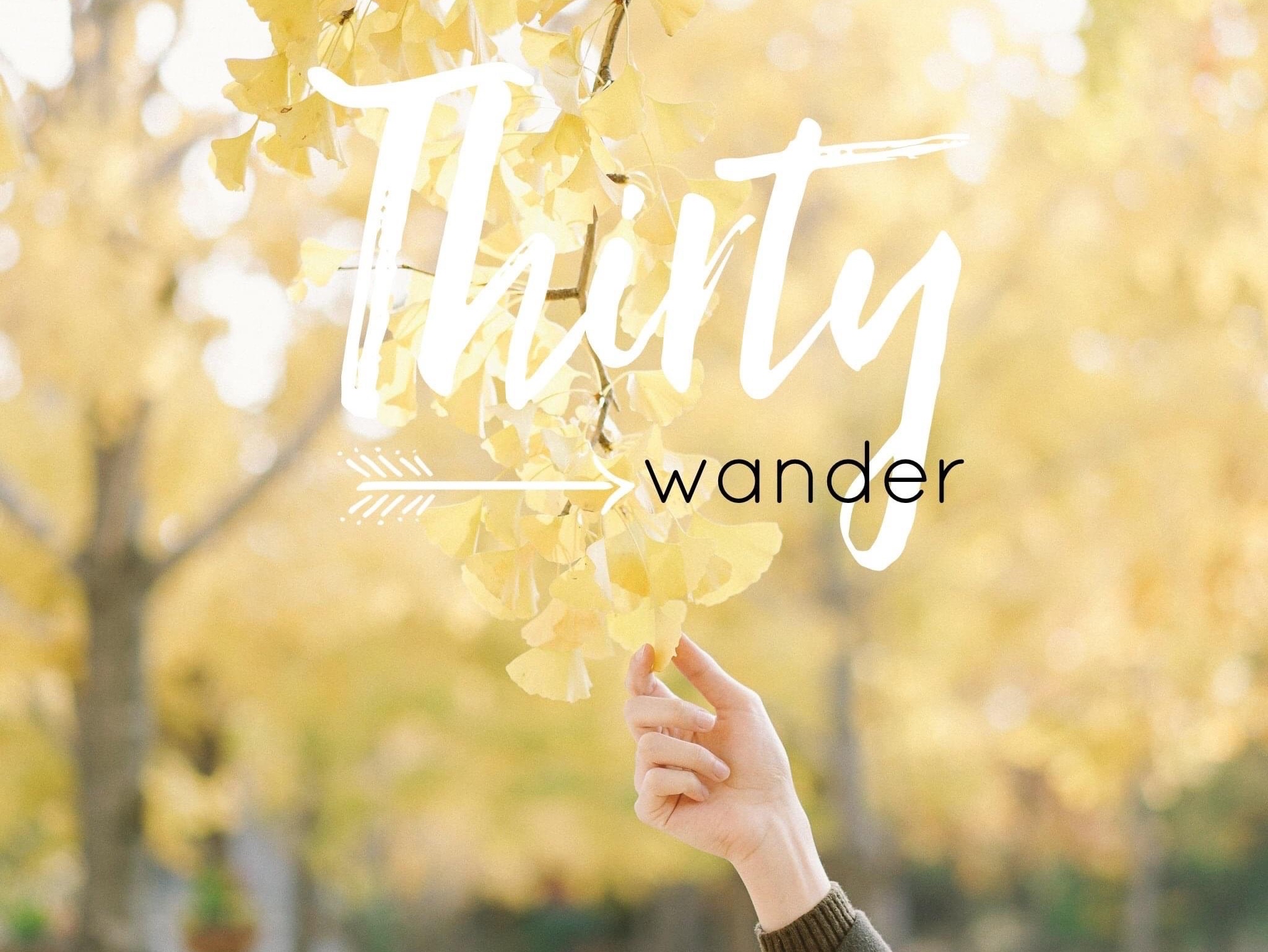 ThirtyWander