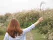 莎拉酱
