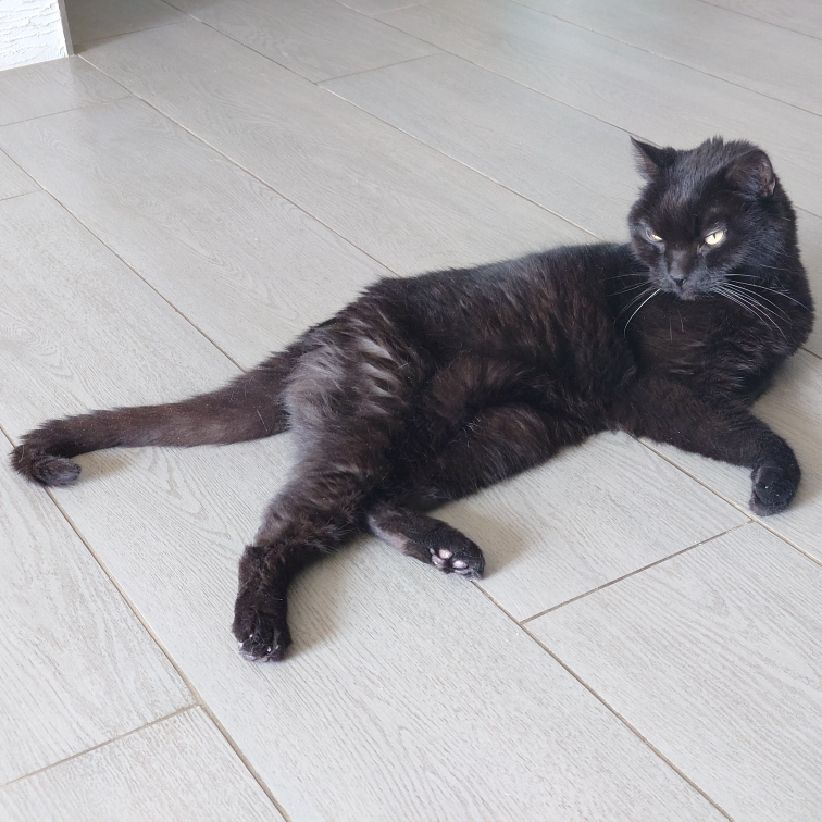 Monty