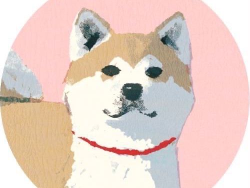 空中小狗