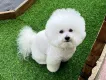 好樣兒