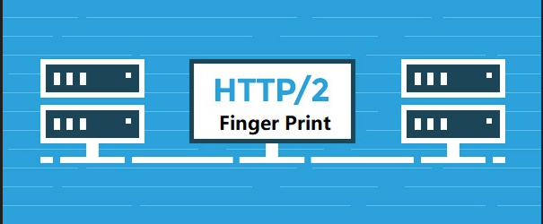 HTTP2指纹识别(一种相对不为人知的网络指纹识别方法)-小白菜博客