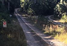 Nangur National Park景点图片