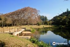 KwaZulu-Natal国家植物园-彼得马里茨堡