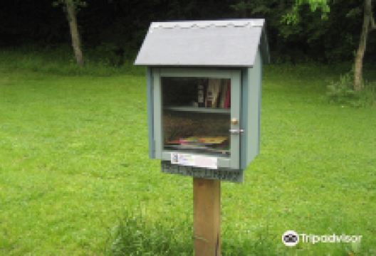 Free Wee Library景点图片
