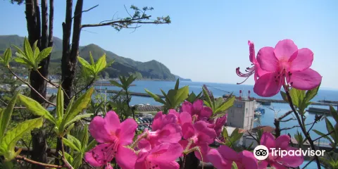 Fukushima Daijingu Shrine