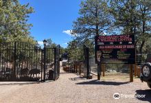 Colorado Wolf and Wildlife Center景点图片
