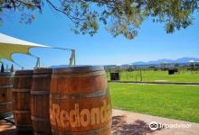 Vinedos La Redonda景点图片