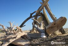 Riserva Naturale Orientata Foce del Fiume Platani景点图片