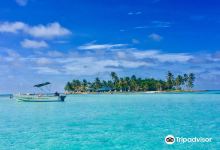 Cayo El Acuario景点图片