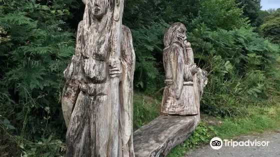 Ballyseedy Woods