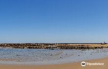 Playa de Montijo景点图片