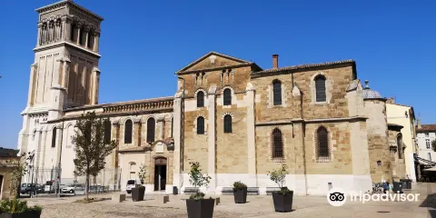Cathédrale Saint-Apollinaire