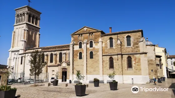 Cathédrale Saint-Apollinaire