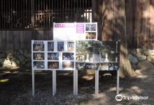川合八幡神社景点图片