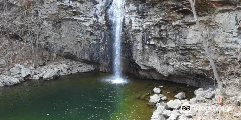 國立新佛山瀑布自然休養林