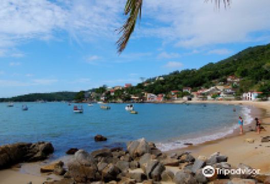 Porto Belo Beach景点图片