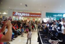 Casa Cronopia Centro Cultural景点图片