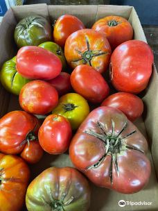 Davis Family Farm-本顿县