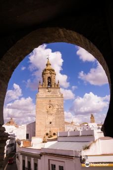 Alcazar de la Puerta de Sevilla-卡莫纳
