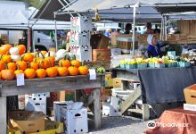 Lewisburg Farmers Market购物图片