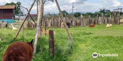 Earth Dream Kakuyama Farm