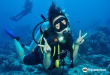 Euro-Divers Club Med Kani购物图片