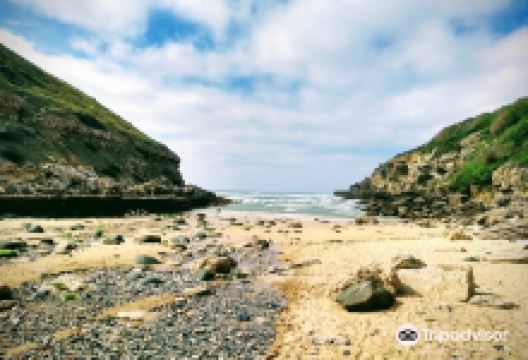 Praia da Samarra景点图片