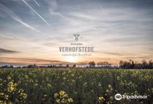 Brouwerij Verhofstede景点图片