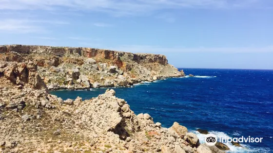 Cap de Cavalleria