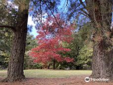 Orange Botanic Gardens-奥兰治