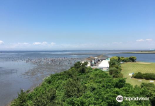 木更津海岸景点图片