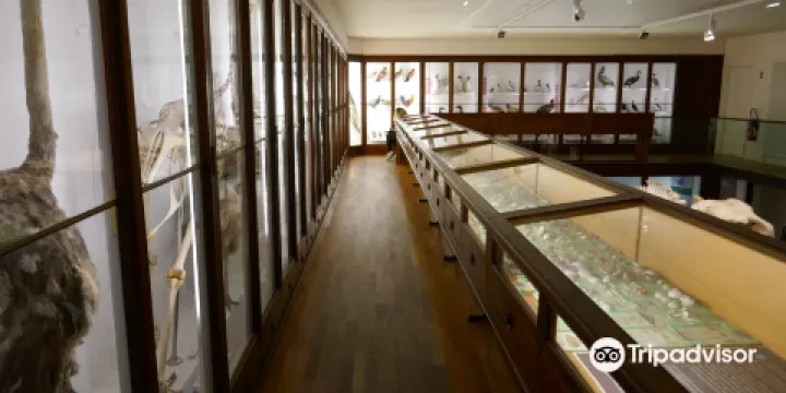 南特自然歷史博物館