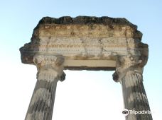 Roman Columns-尼翁