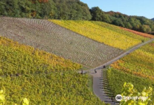 Weingut Bloser购物图片